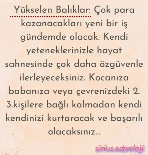 ay6 (7).webp