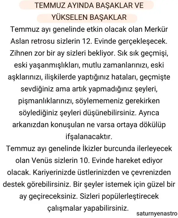 ay6 (7).webp