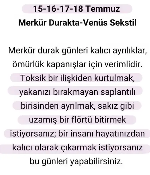 ay6 (7).webp