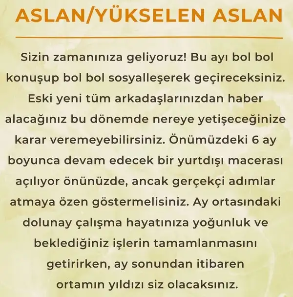 ay6 (7).webp