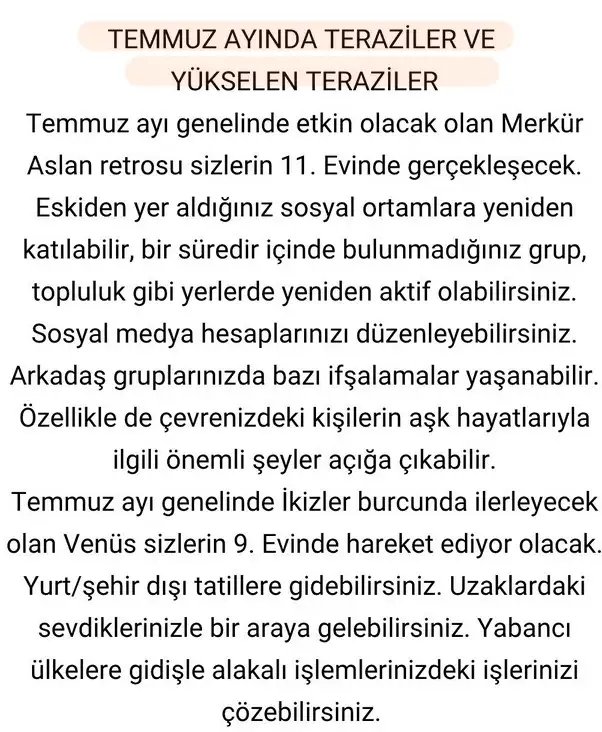 ay6 (8).webp