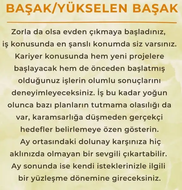 ay6 (8).webp