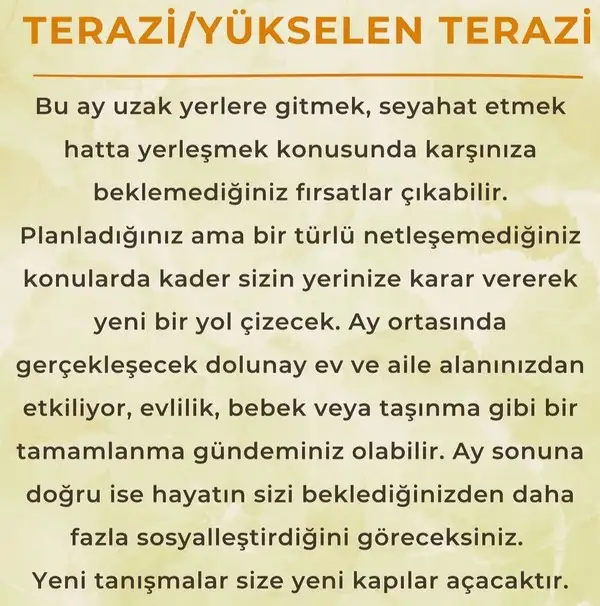 ay6 (9).webp