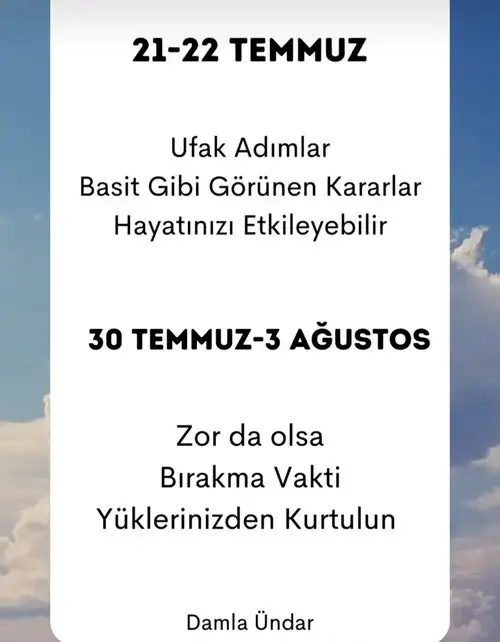 ay60 (2).webp