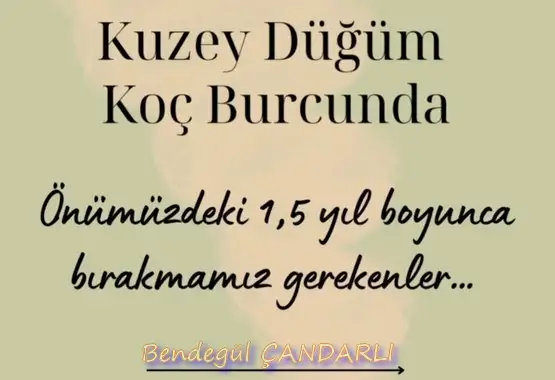 ay62 (1).webp