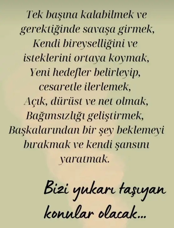 ay62 (2).webp