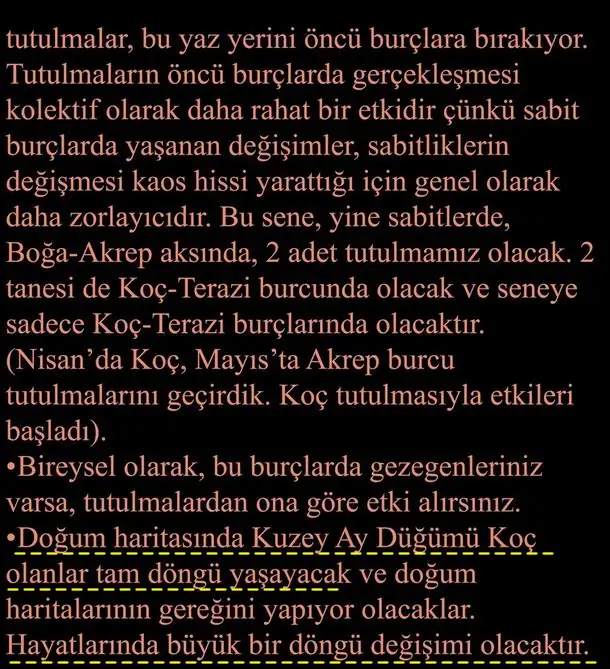 ay66 (10).webp