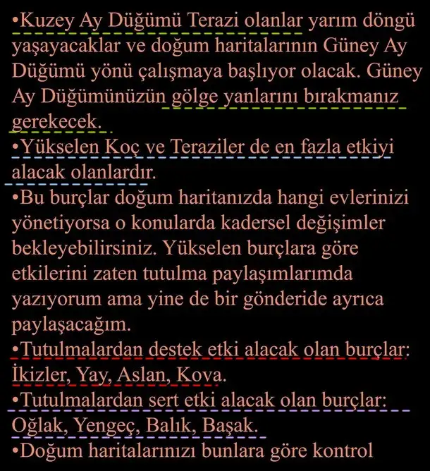 ay66 (11).webp