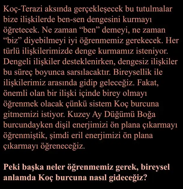 ay66 (16).webp
