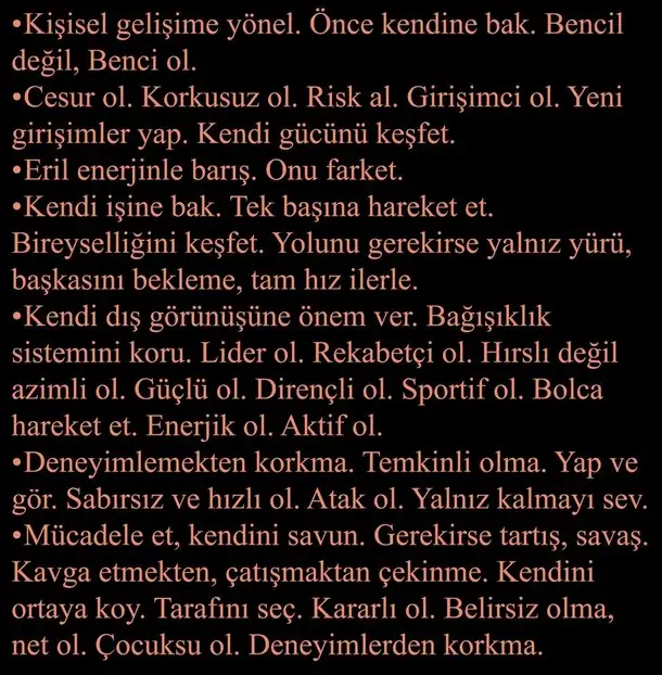 ay66 (17).webp