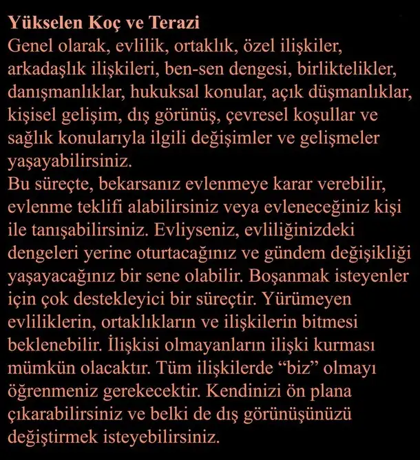ay66 (2).webp