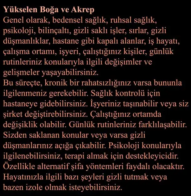 ay66 (3).webp