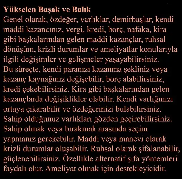 ay66 (7).webp