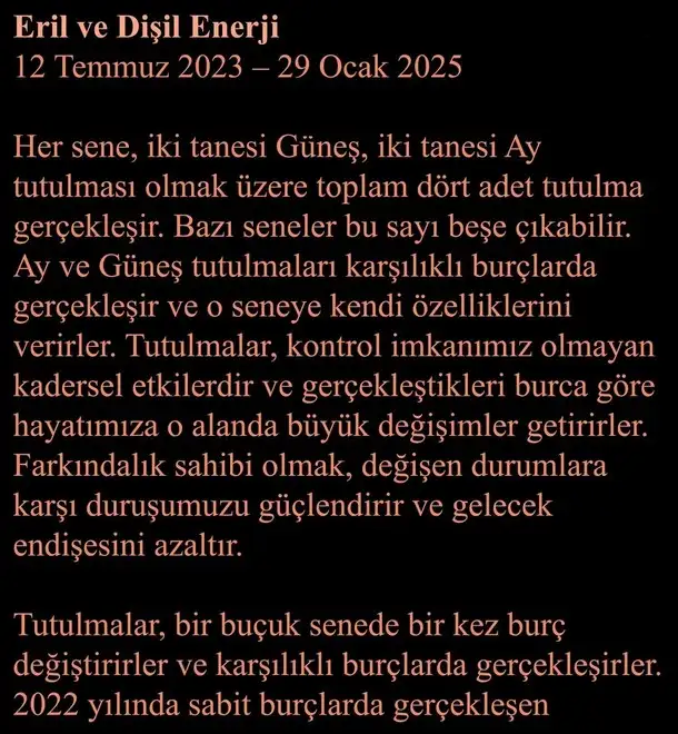 ay66 (9).webp