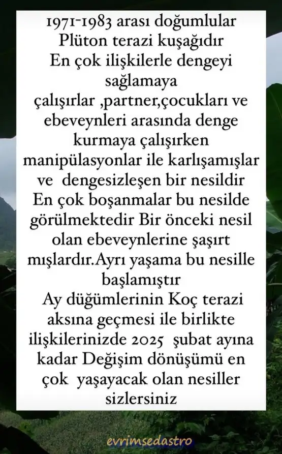 ay66.webp