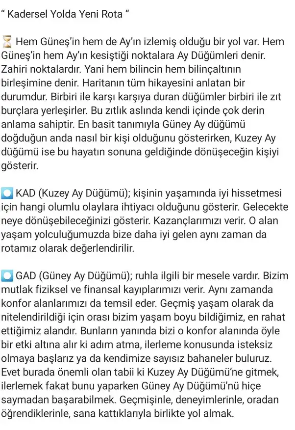 ay69 (2).webp