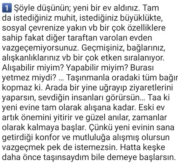 ay69 (3).webp
