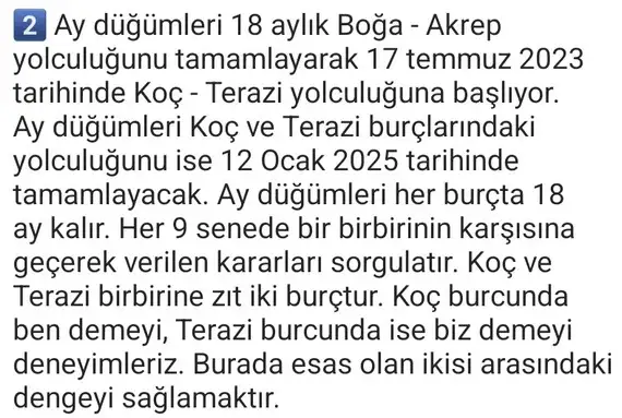 ay69 (4).webp