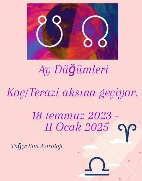 ay7 (1).webp