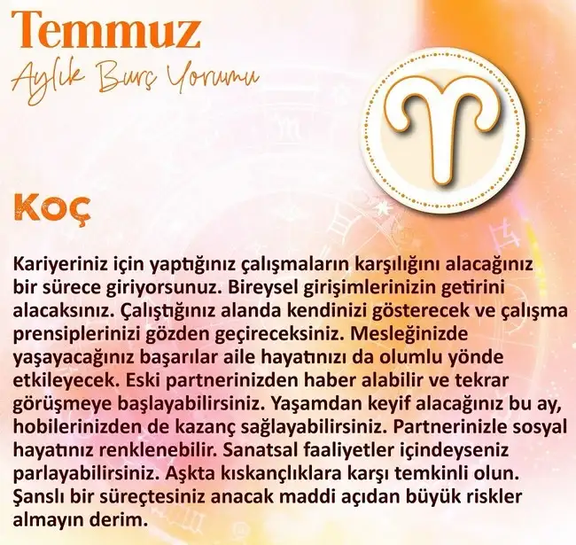 ay7 (1).webp