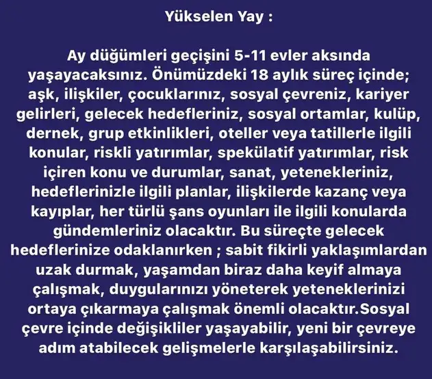 ay7 (10).webp