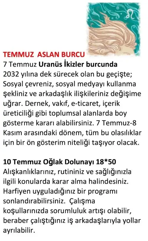 ay7 (10).webp