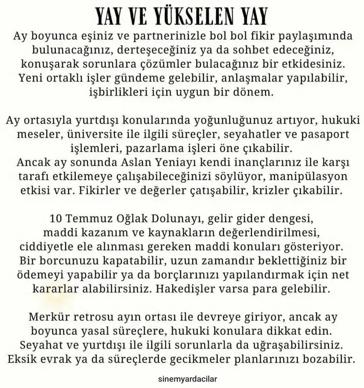 ay7 (10).webp