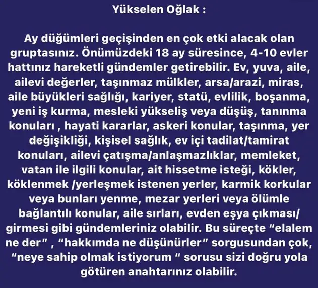 ay7 (11).webp