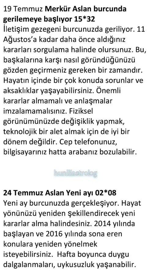 ay7 (11).webp