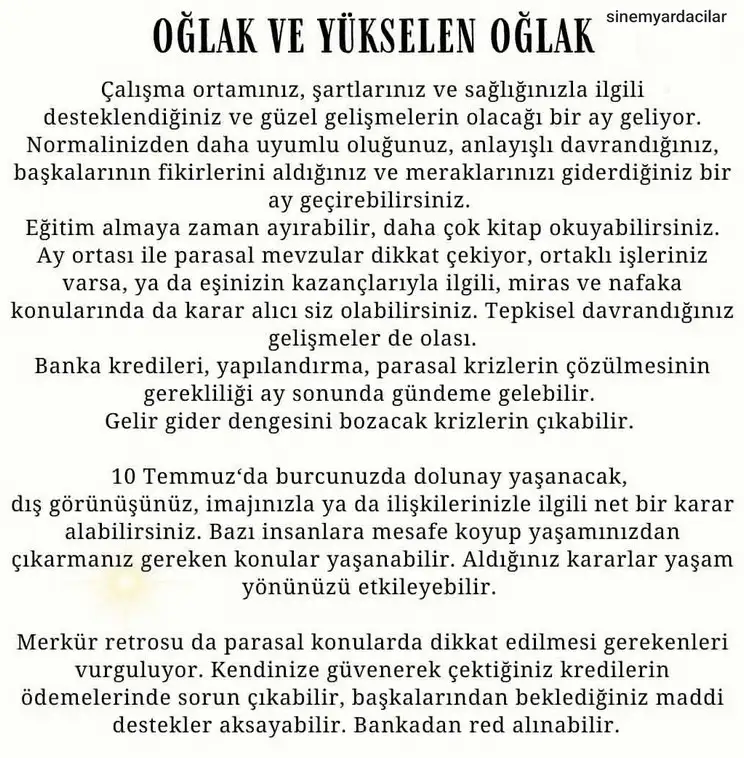 ay7 (11).webp