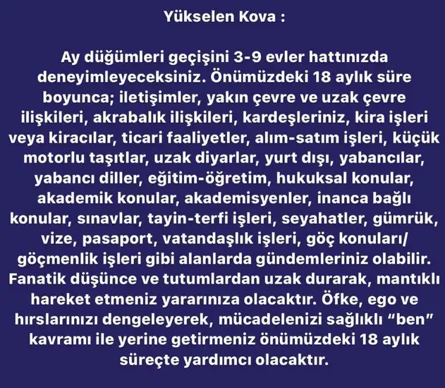 ay7 (12).webp
