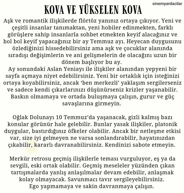ay7 (12).webp