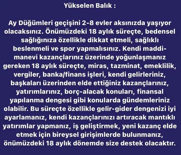 ay7 (13).webp