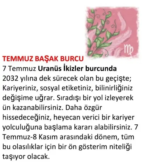 ay7 (13).webp