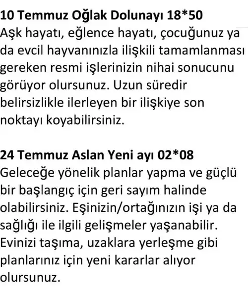 ay7 (14).webp