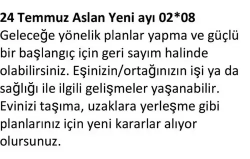 ay7 (14).webp