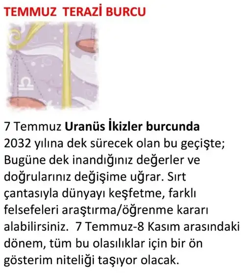 ay7 (15).webp
