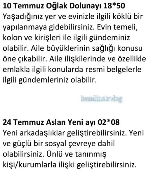 ay7 (16).webp