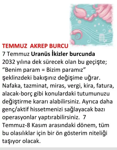 ay7 (17).webp