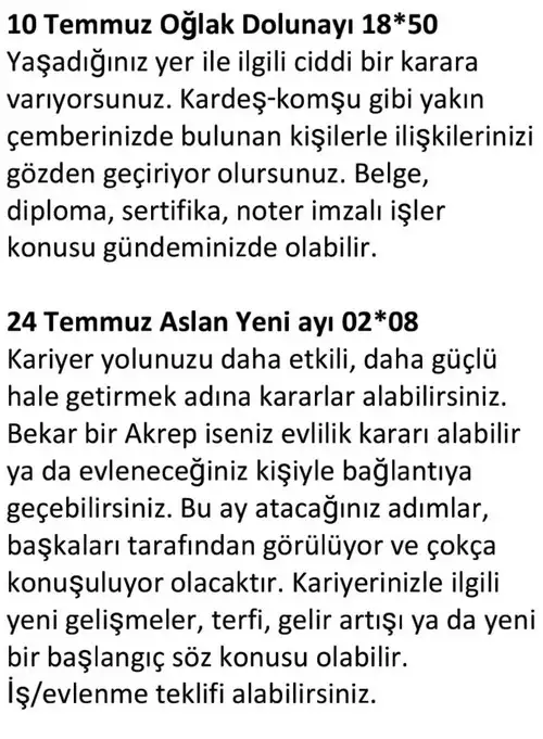 ay7 (18).webp