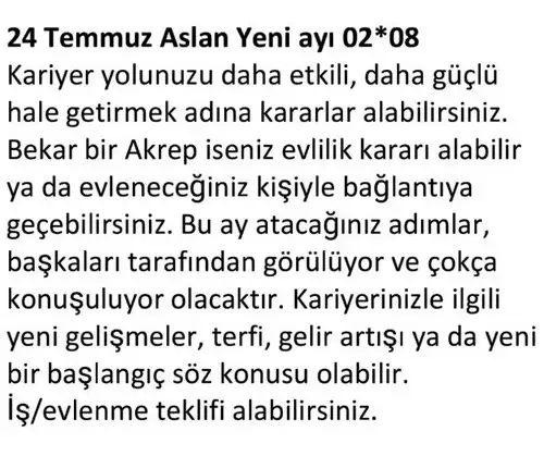 ay7 (18).webp