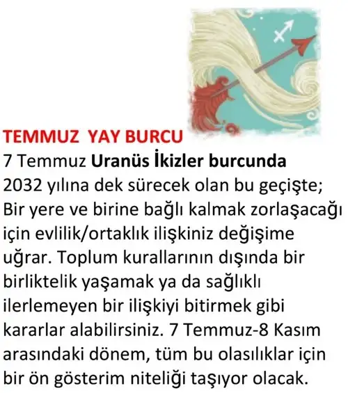 ay7 (19).webp