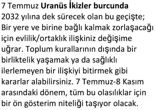 ay7 (19).webp
