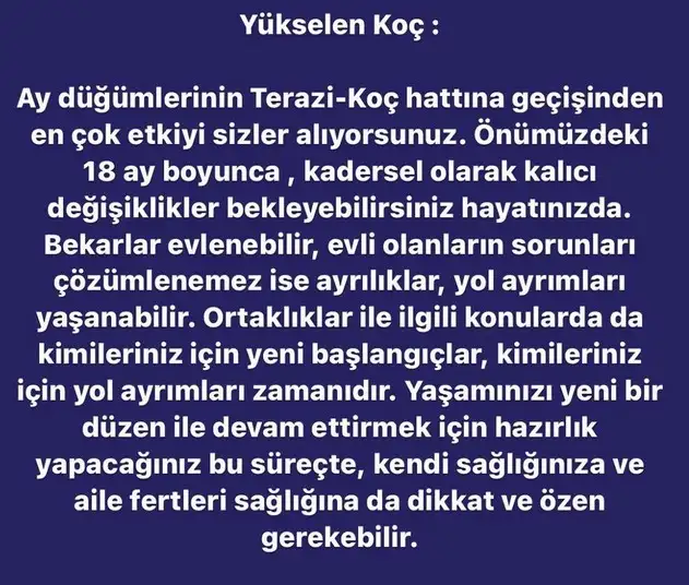 ay7 (2).webp