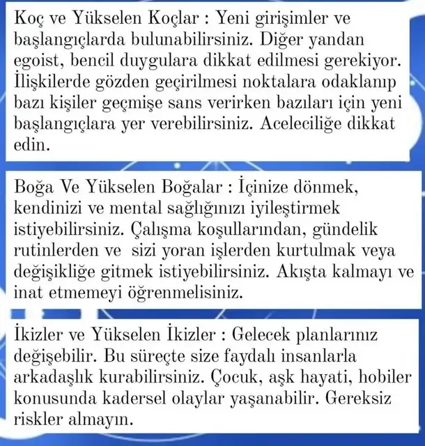 ay7 (2).webp