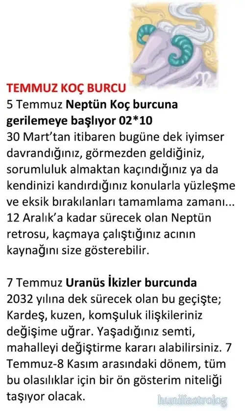 ay7 (2).webp