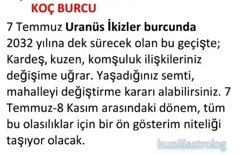 ay7 (2).webp