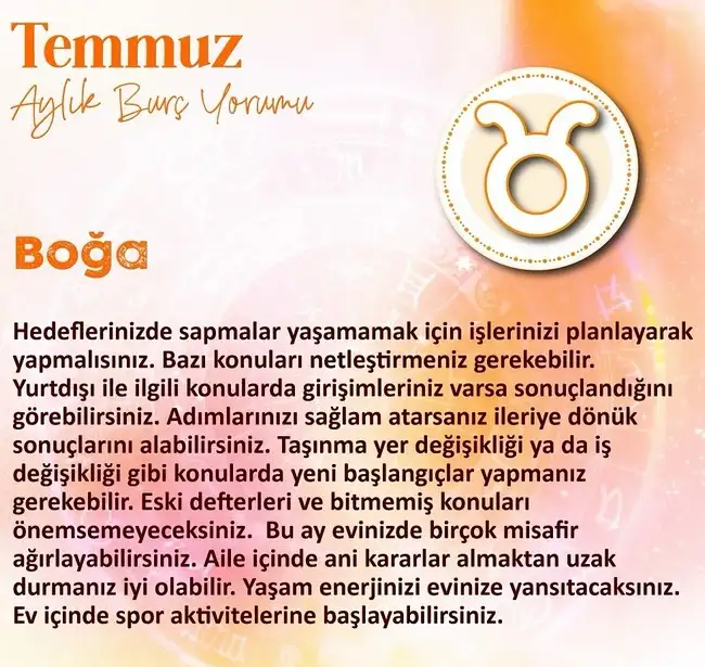 ay7 (2).webp