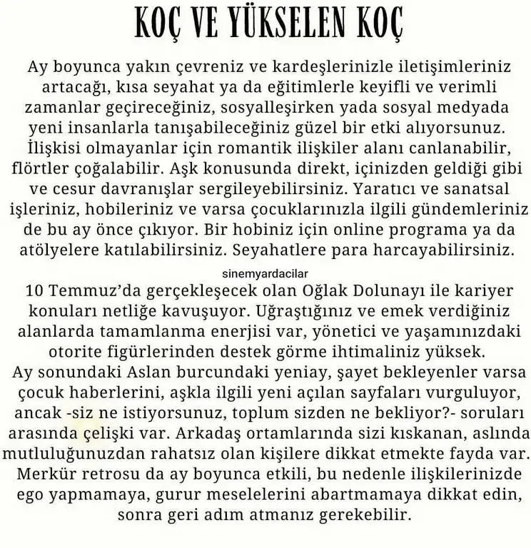 ay7 (2).webp