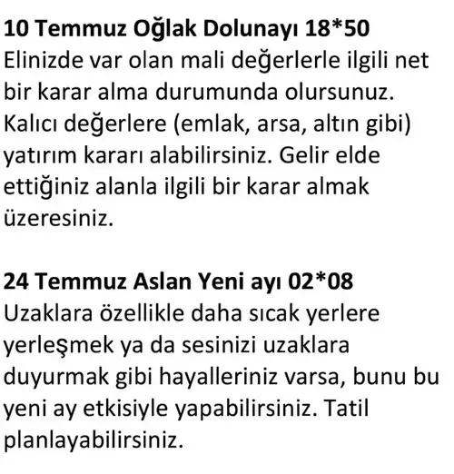 ay7 (20).webp